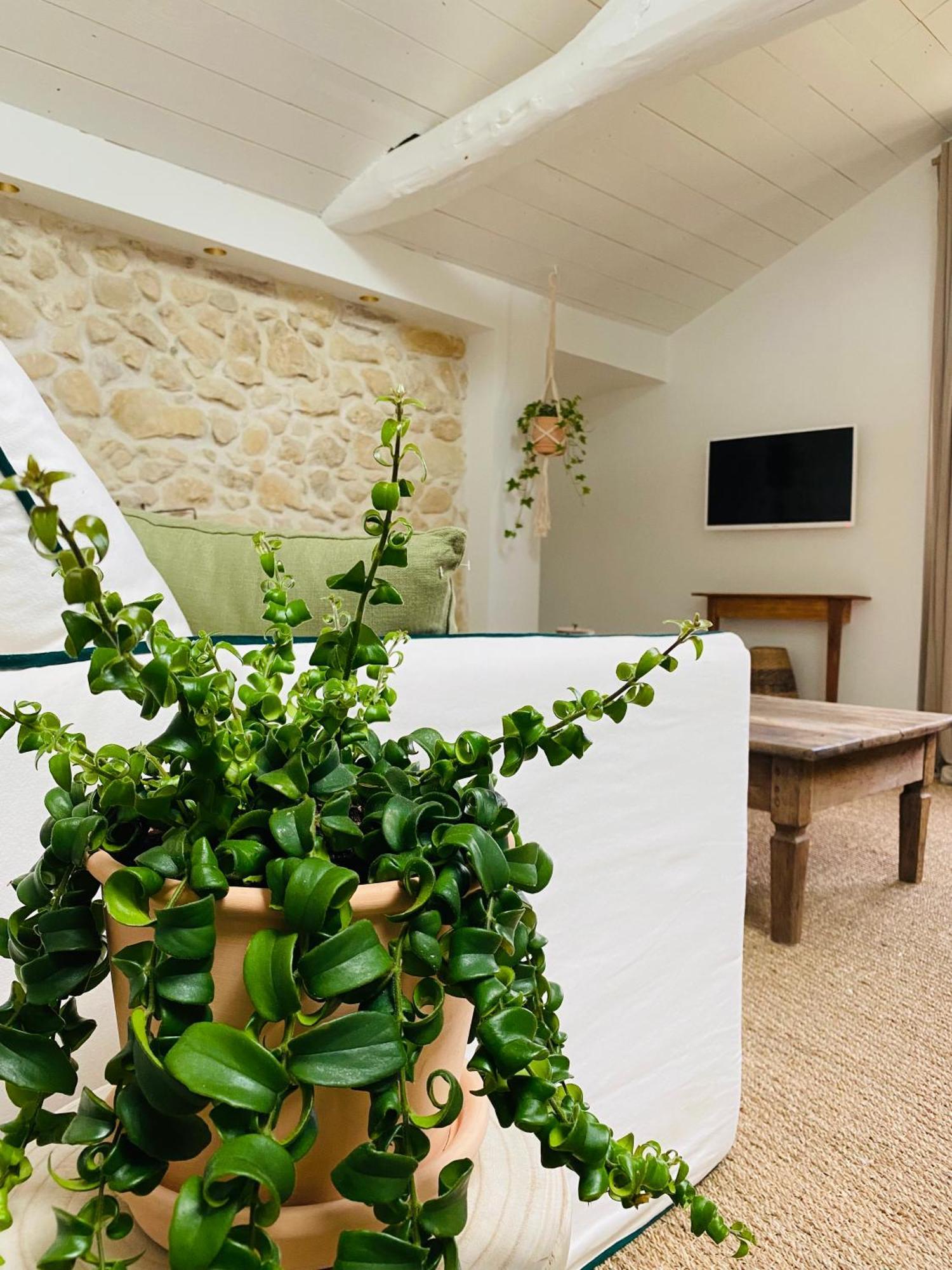 דירות La Bastide De Guiche Entre Ocean Et Montagnes מראה חיצוני תמונה