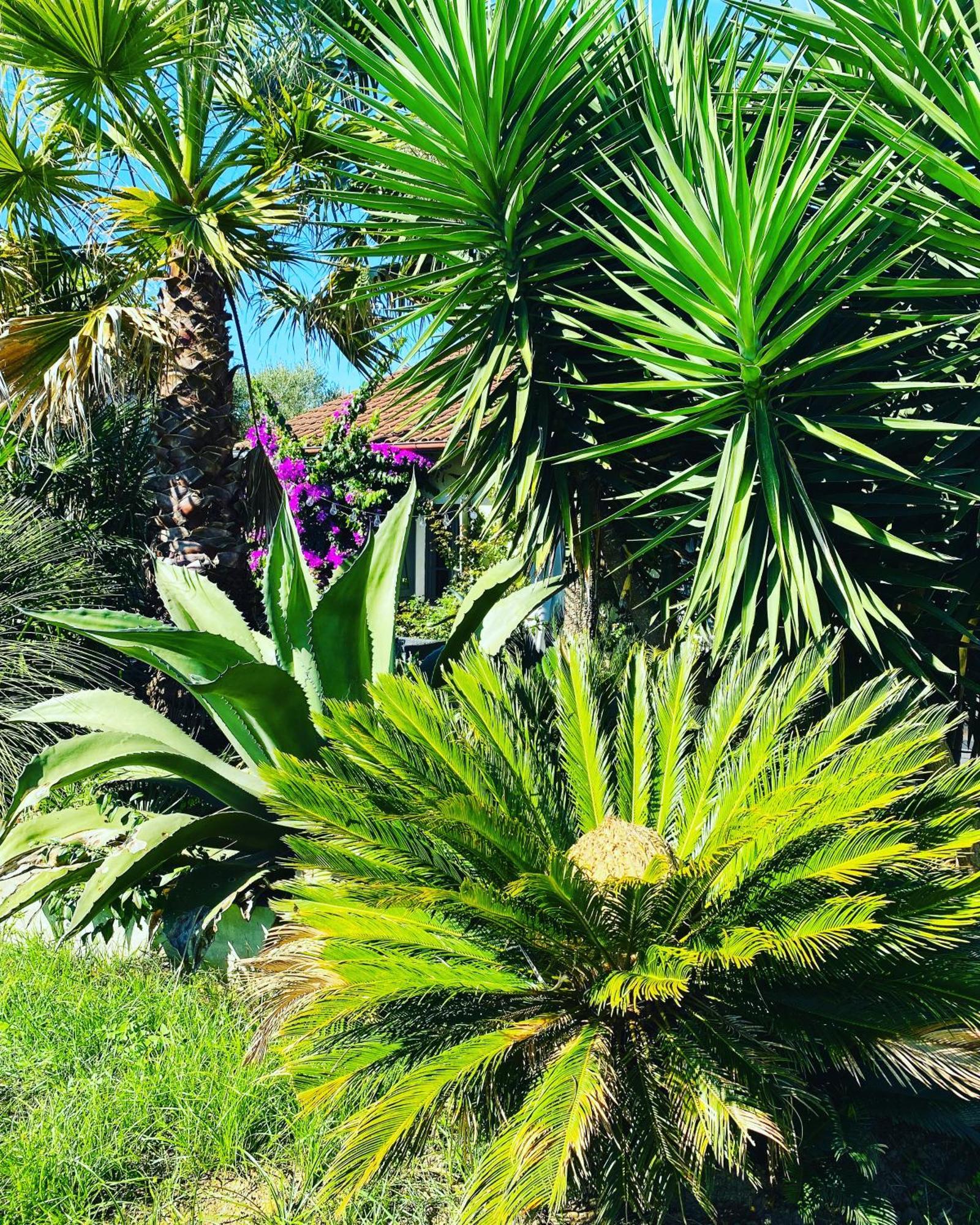 דירות La Bastide De Guiche Entre Ocean Et Montagnes מראה חיצוני תמונה